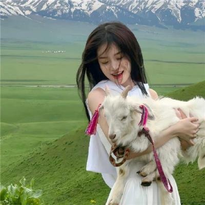 东离剑游纪第二季